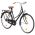 vidaXL Ποδήλατο Ολλανδικού Τύπου Γυναικείο Τροχοί 28''/57 εκ.  